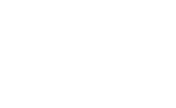 Hotel-de-Ville2.png